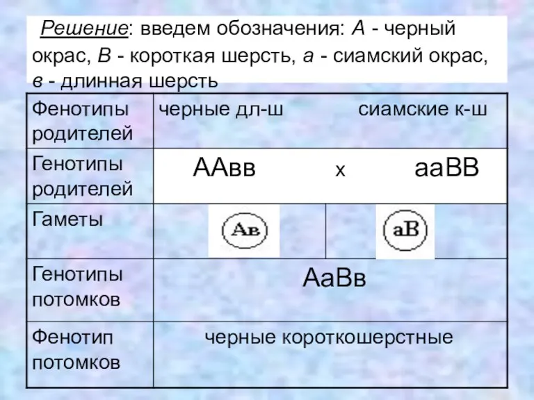 Решение: введем обозначения: А - черный окрас, В - короткая