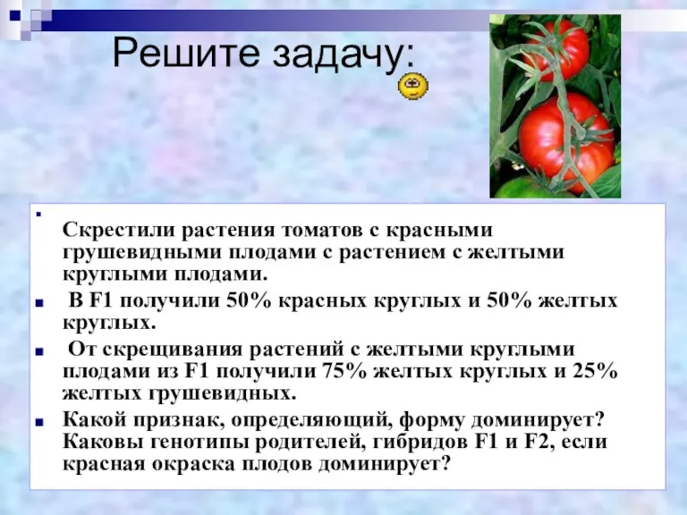 Решите задачу: Скрестили растения томатов с красными грушевидными плодами с