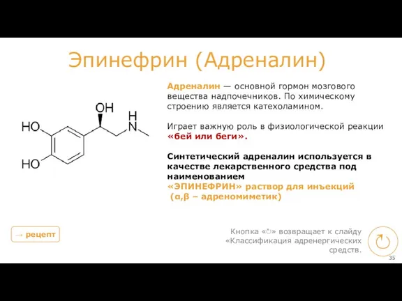 Адреналин — основной гормон мозгового вещества надпочечников. По химическому строению является катехоламином. Играет