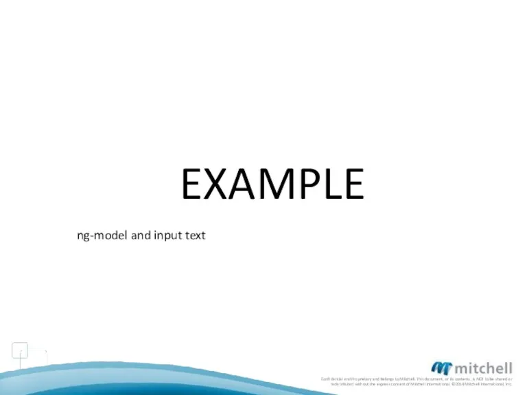 EXAMPLE ng-model and input text