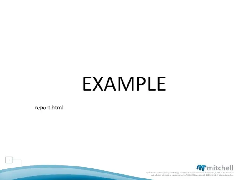 EXAMPLE report.html