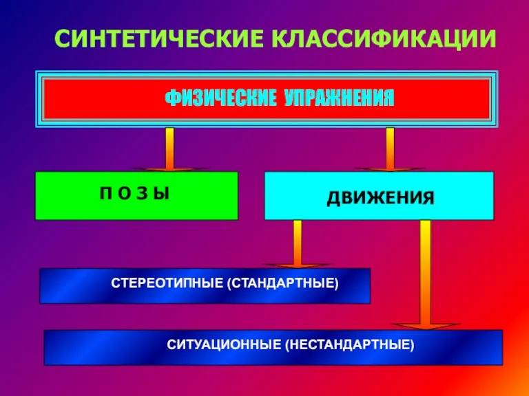 СИНТЕТИЧЕСКИЕ КЛАССИФИКАЦИИ ФИЗИЧЕСКИЕ УПРАЖНЕНИЯ П О З Ы ДВИЖЕНИЯ СТЕРЕОТИПНЫЕ (СТАНДАРТНЫЕ) СИТУАЦИОННЫЕ (НЕСТАНДАРТНЫЕ)