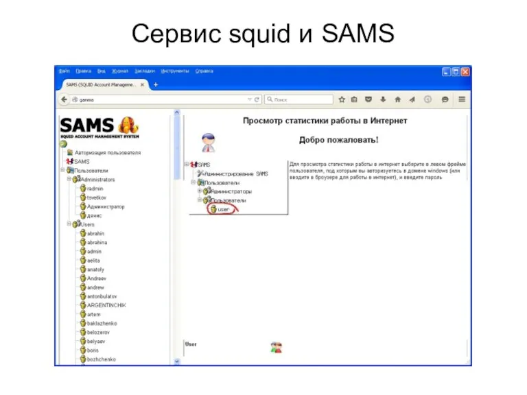 Сервис squid и SAMS