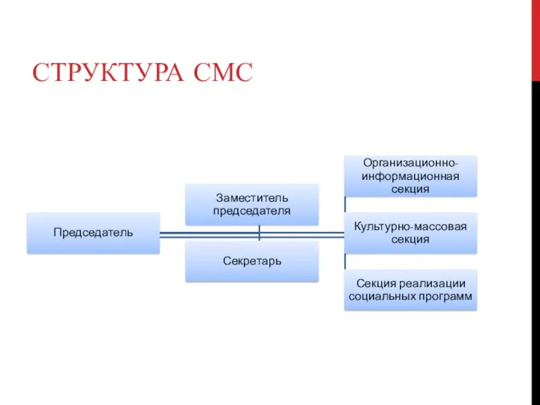 СТРУКТУРА СМС