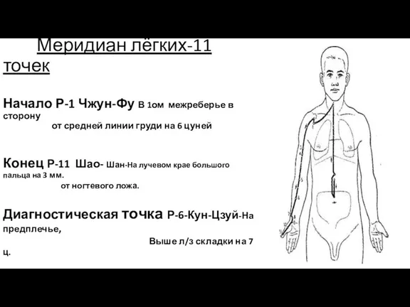 Меридиан лёгких-11 точек Начало Р-1 Чжун-Фу В 1ом межреберье в