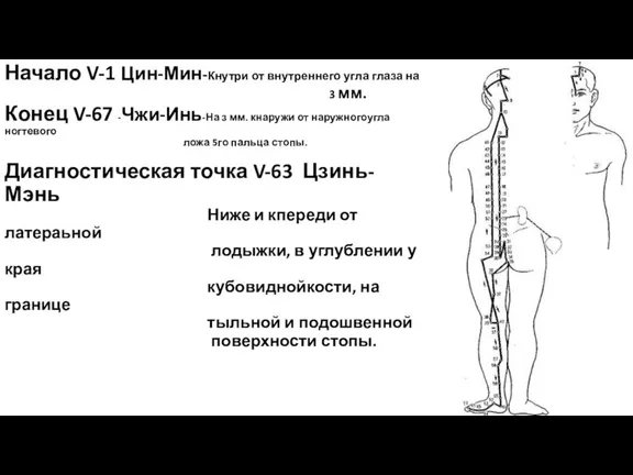 Меридиан мочевого пузыря V- 67 точек Начало V-1 Цин-Мин-Кнутри от