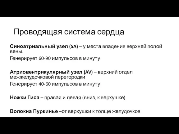 Проводящая система сердца Синоатриальный узел (SA) – у места впадения верхней полой вены.