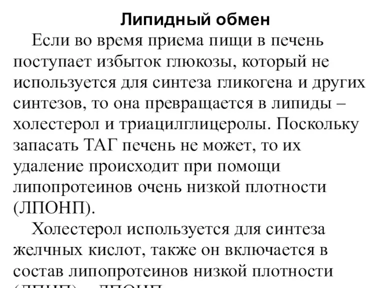 Липидный обмен Если во время приема пищи в печень поступает