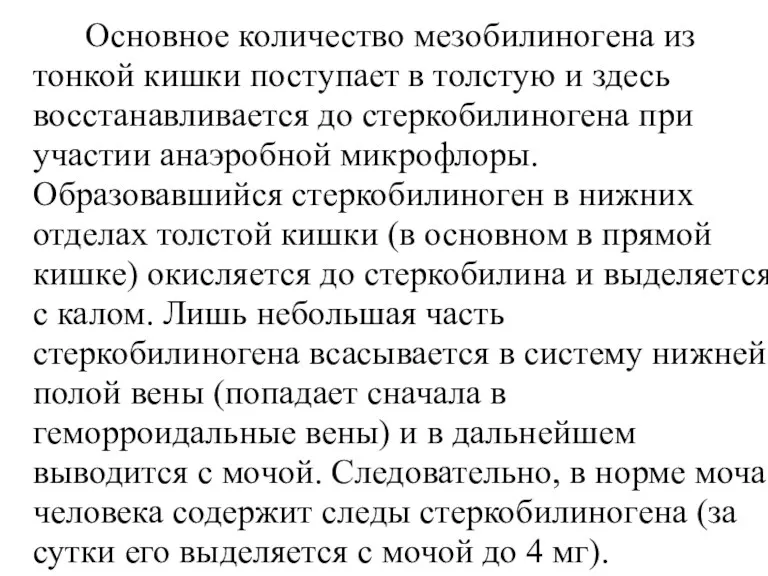 Основное количество мезобилиногена из тонкой кишки поступает в толстую и