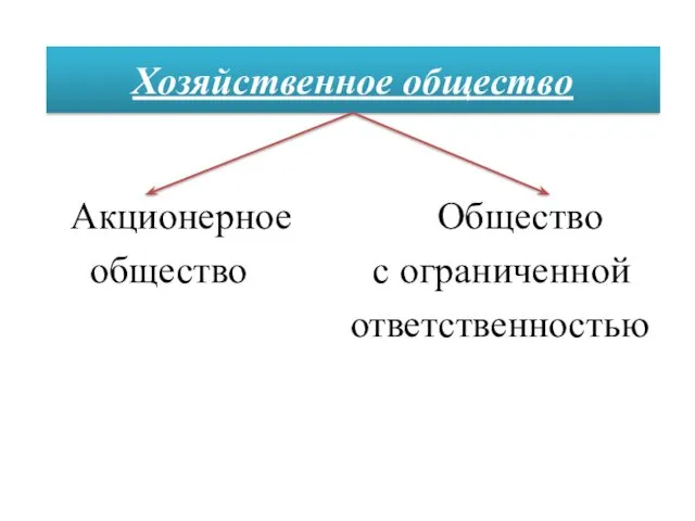 Акционерное Общество общество с ограниченной ответственностью Хозяйственное общество