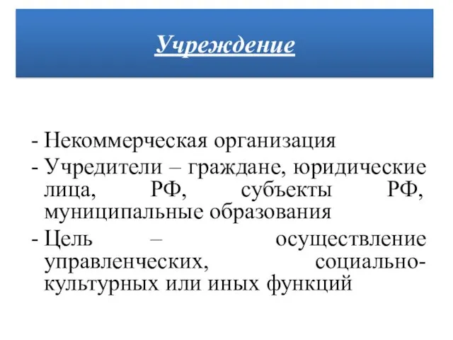 Некоммерческая организация Учредители – граждане, юридические лица, РФ, субъекты РФ,