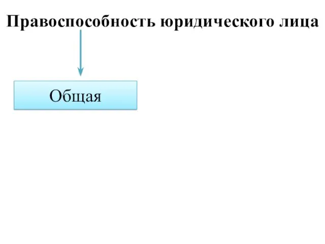 Правоспособность юридического лица Общая