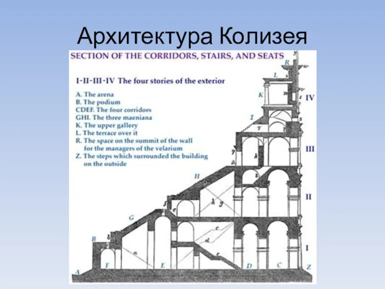 Архитектура Колизея