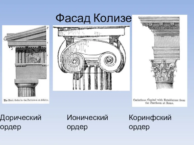 Фасад Колизея Ионический ордер Коринфский ордер Дорический ордер