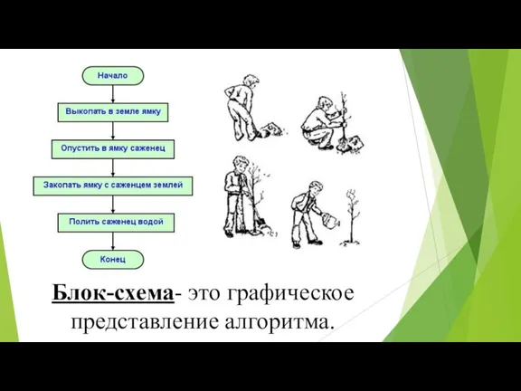 Блок-схема- это графическое представление алгоритма.