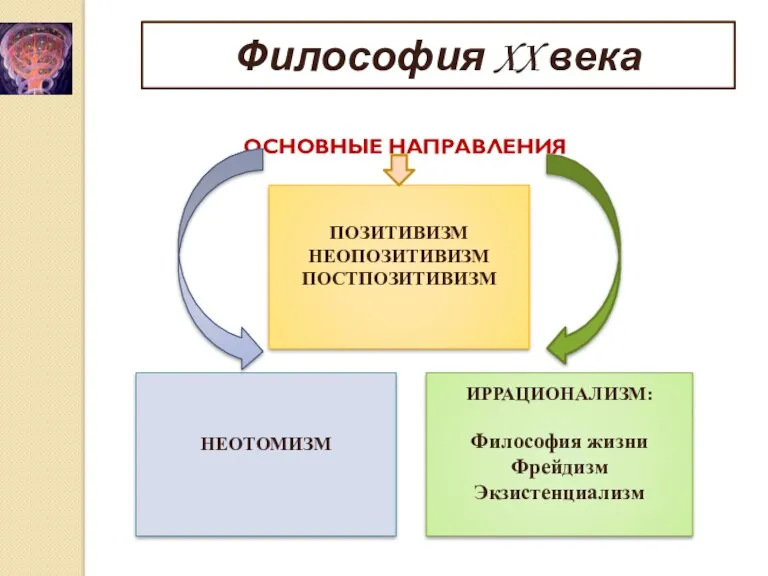 Философия XX века ПОЗИТИВИЗМ НЕОПОЗИТИВИЗМ ПОСТПОЗИТИВИЗМ ИРРАЦИОНАЛИЗМ: Философия жизни Фрейдизм Экзистенциализм НЕОТОМИЗМ ОСНОВНЫЕ НАПРАВЛЕНИЯ