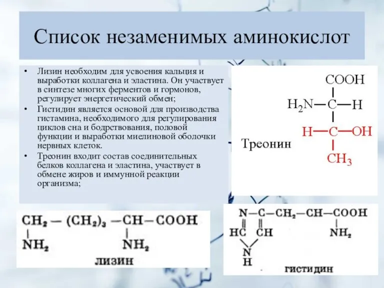 Список незаменимых аминокислот Лизин необходим для усвоения кальция и выработки