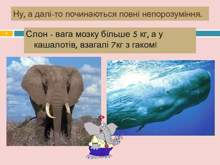 Ну, а далі-то починаються повні непорозуміння. Слон - вага мозку