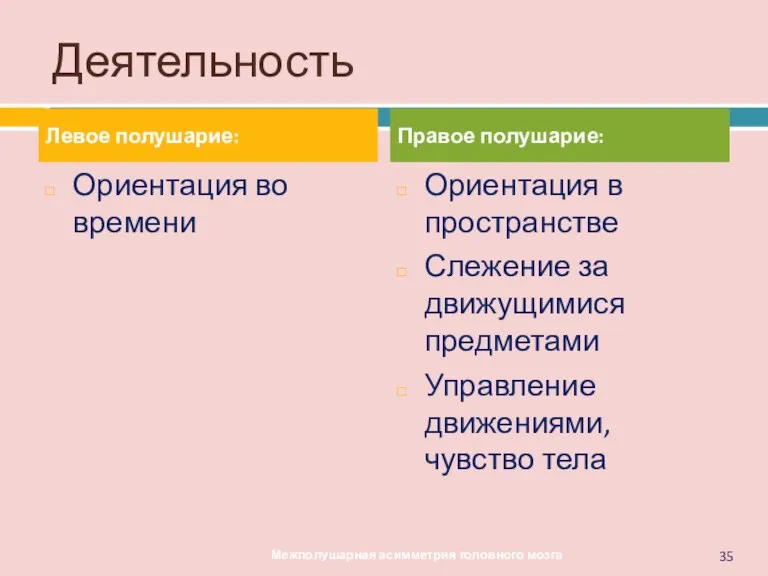 Деятельность Левое полушарие: Ориентация во времени Правое полушарие: Ориентация в