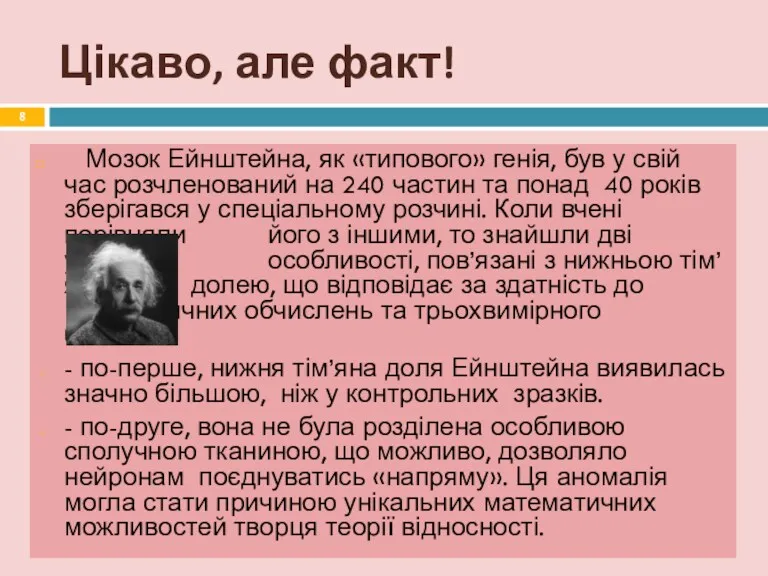 Цікаво, але факт! Мозок Ейнштейна, як «типового» генія, був у