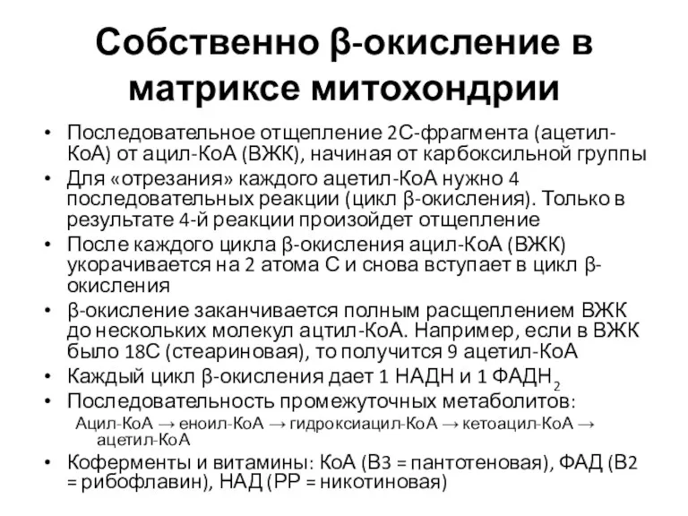 Собственно β-окисление в матриксе митохондрии Последовательное отщепление 2С-фрагмента (ацетил-КоА) от