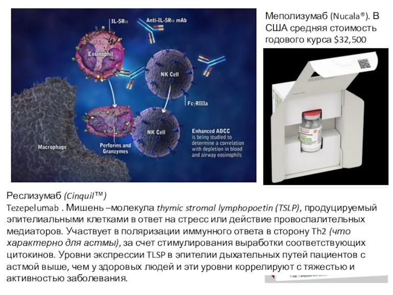 Меполизумаб (Nucala®). В США средняя стоимость годового курса $32,500 Реслизумаб