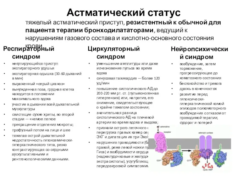 Астматический статус тяжелый астматический приступ, резистентный к обычной для пациента