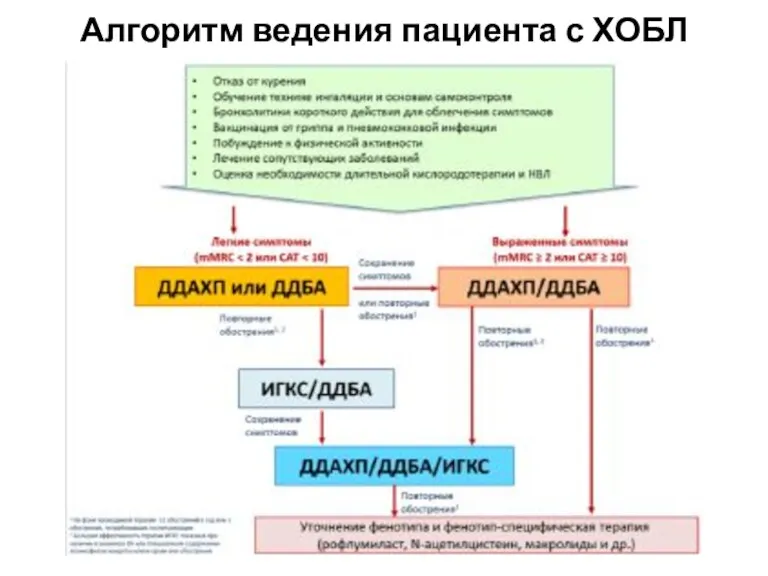 Алгоритм ведения пациента с ХОБЛ