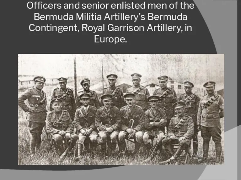 Officers and senior enlisted men of the Bermuda Militia Artillery's