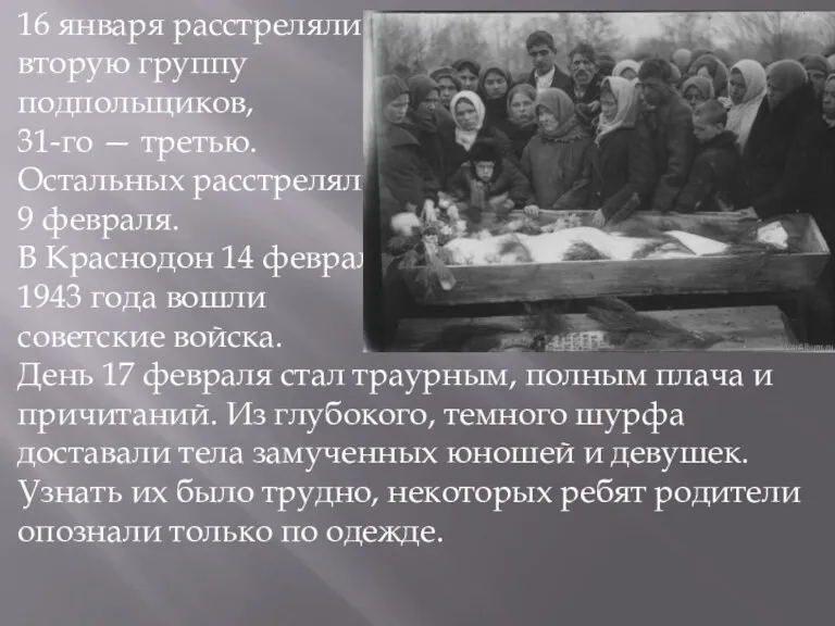 16 января расстреляли вторую группу подпольщиков, 31-го — третью. Остальных