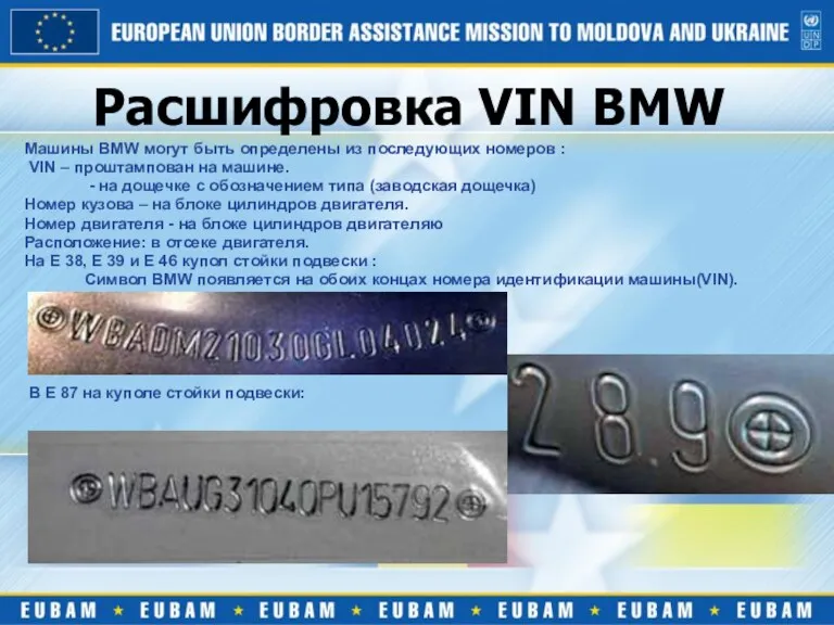 Расшифровка VIN BMW Машины BMW могут быть определены из последующих номеров : VIN