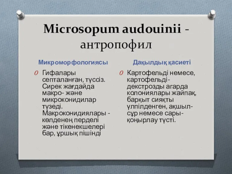 Міcrosopum audouinii - антропофил Микроморфологиясы Дақылдық қасиеті Гифалары септаланған, түссіз. Сирек жағдайда макро-