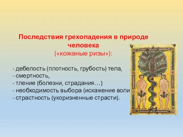 Последствия грехопадения в природе человека («кожаные ризы»): - дебелость (плотность,