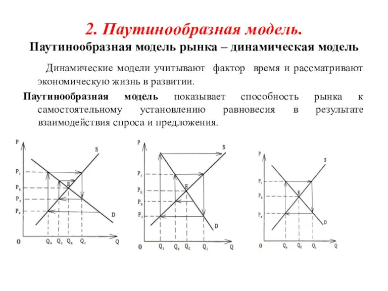 2. Паутинообразная модель. Паутинообразная модель рынка – динамическая модель Динамические