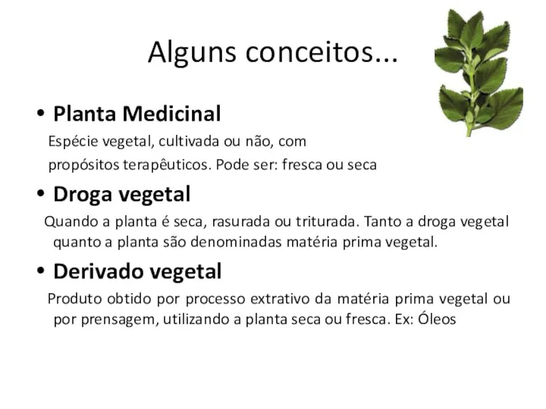 Planta Medicinal Espécie vegetal, cultivada ou não, com propósitos terapêuticos. Pode ser: fresca