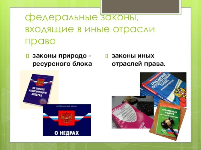 федеральные законы, входящие в иные отрасли права законы природо -ресурсного блока законы иных отраслей права.