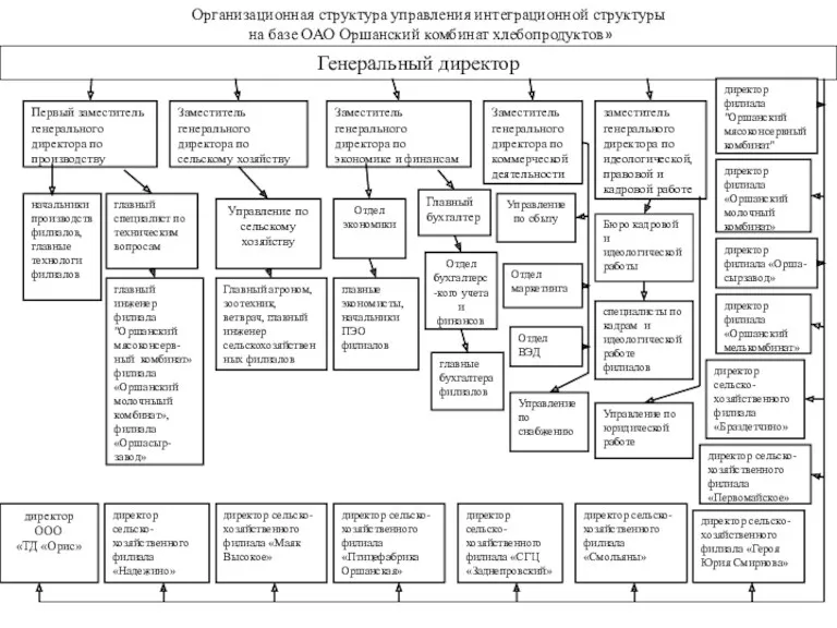 Организационная структура управления интеграционной структуры на базе ОАО Оршанский комбинат