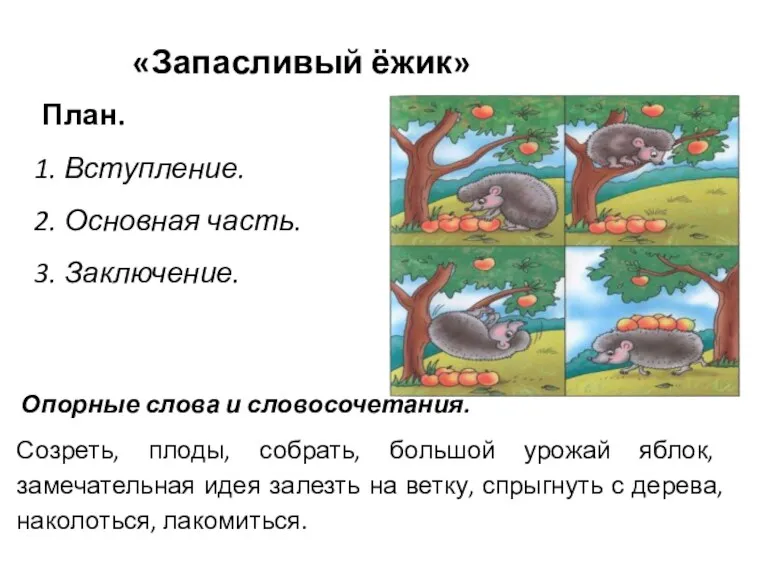 «Запасливый ёжик» План. 1. Вступление. 2. Основная часть. 3. Заключение.