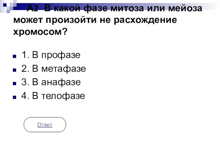 А2 В какой фазе митоза или мейоза может произойти не