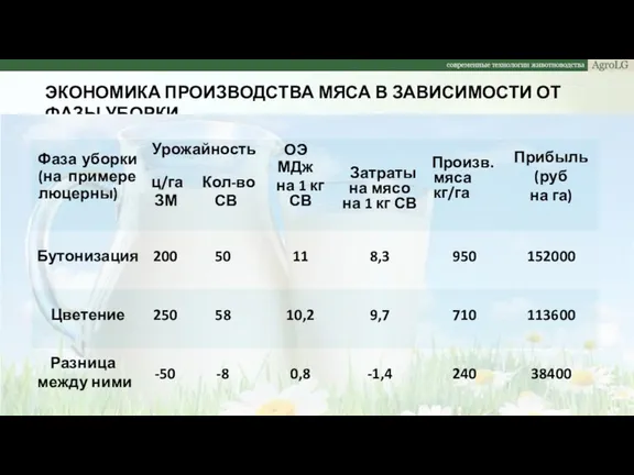 ЭКОНОМИКА ПРОИЗВОДСТВА МЯСА В ЗАВИСИМОСТИ ОТ ФАЗЫ УБОРКИ