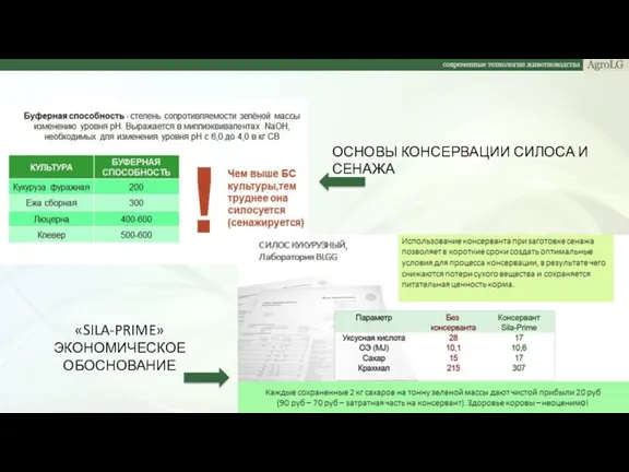 ОСНОВЫ КОНСЕРВАЦИИ СИЛОСА И СЕНАЖА «SILA-PRIME» ЭКОНОМИЧЕСКОЕ ОБОСНОВАНИЕ