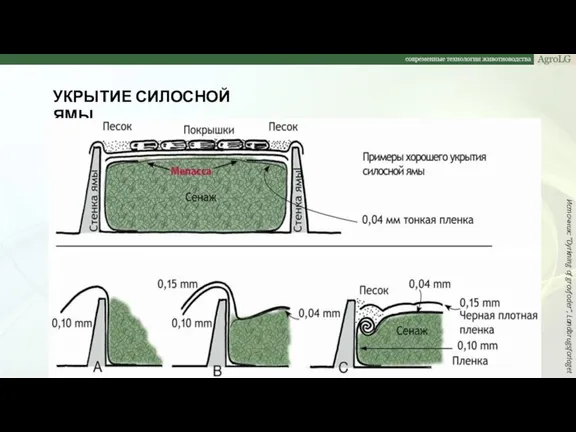 УКРЫТИЕ СИЛОСНОЙ ЯМЫ Источник: ”Dyrkning af grovfoder”, Landbrugsforlaget