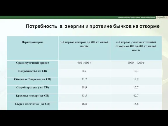 Потребность в энергии и протеине бычков на откорме