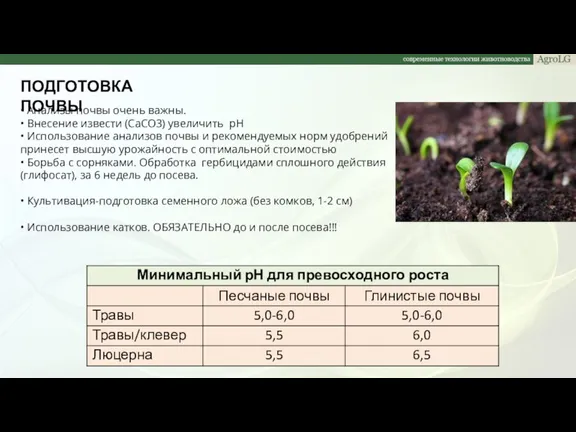 ПОДГОТОВКА ПОЧВЫ • Анализы почвы очень важны. • Внесение извести