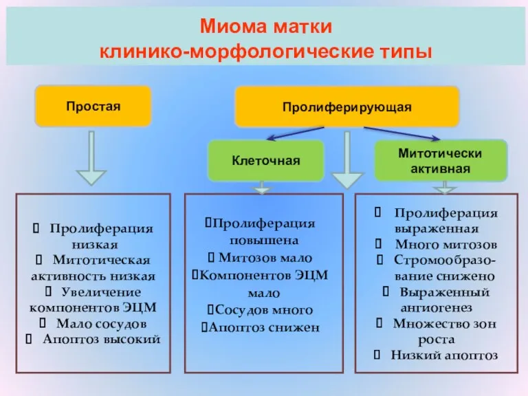 Миома матки клинико-морфологические типы Пролиферация низкая Митотическая активность низкая Увеличение