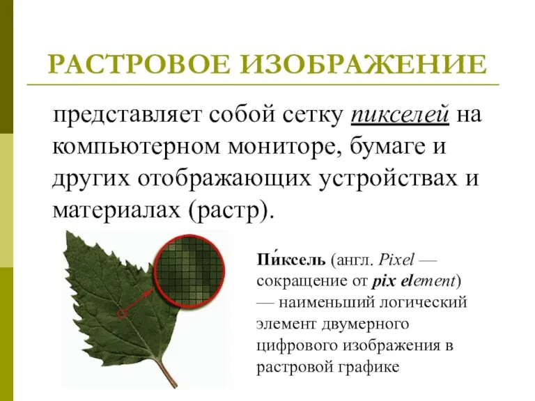 РАСТРОВОЕ ИЗОБРАЖЕНИЕ представляет собой сетку пикселей на компьютерном мониторе, бумаге