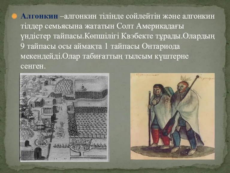 Алгонкин –алгонкин тілінде сойлейтін және алгонкин тілдер семьясына жататын Солт