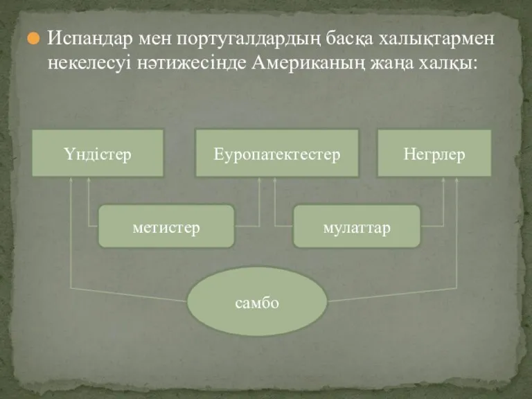 Испандар мен португалдардың басқа халықтармен некелесуі нәтижесінде Американың жаңа халқы: Үндістер Еуропатектестер Негрлер самбо мулаттар метистер