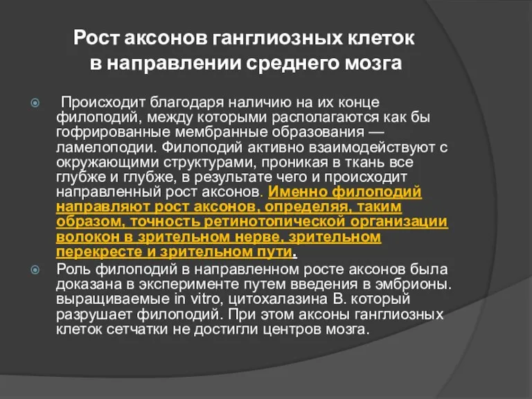 Рост аксонов ганглиозных клеток в направлении среднего мозга Происходит благодаря