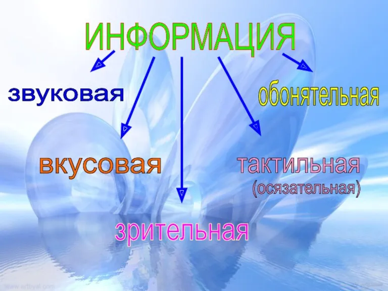 ИНФОРМАЦИЯ вкусовая зрительная тактильная обонятельная звуковая (осязательная)